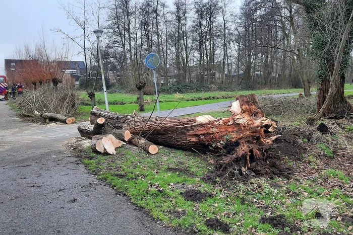 Enorme boom valt om