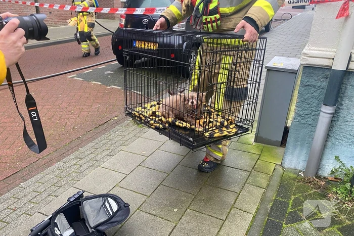 Gaslekkage ontstaan tijdens werkzaamheden