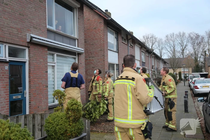 Vogel zit vast in rolluik bij woning