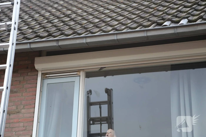 Vogel zit vast in rolluik bij woning