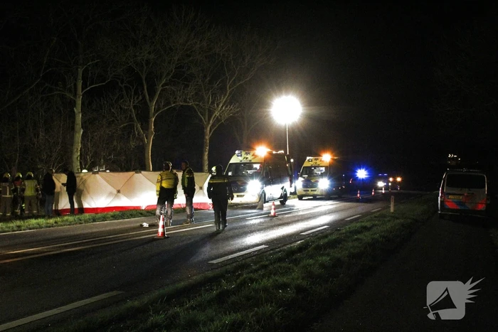 Automobilist overleden na botsing tegen boom
