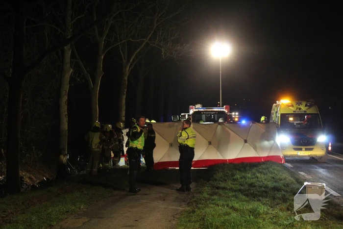 Automobilist overleden na botsing tegen boom