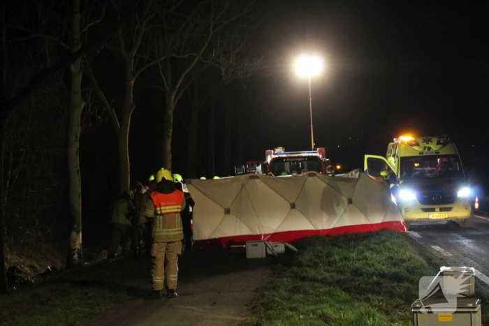 Automobilist overleden na botsing tegen boom