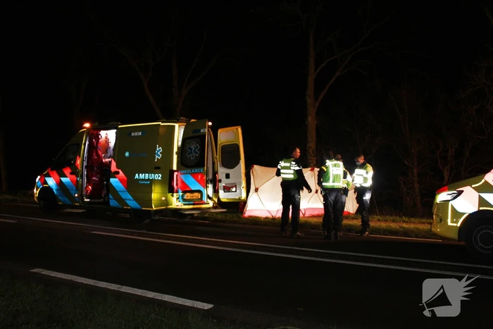 Automobilist overleden na botsing tegen boom