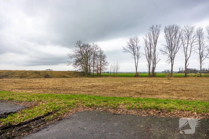Kaalslag in beruchte bosgebied carpoolplaats Bunschoten