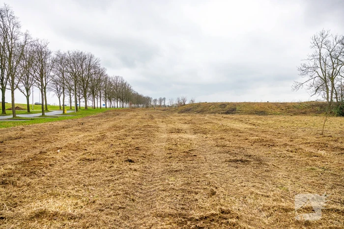 Kaalslag in beruchte bosgebied carpoolplaats Bunschoten
