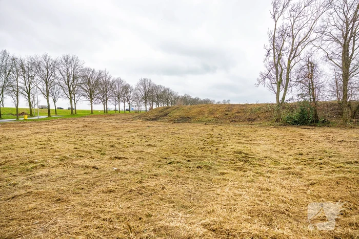 Kaalslag in beruchte bosgebied carpoolplaats Bunschoten