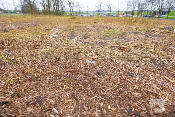 Kaalslag in beruchte bosgebied carpoolplaats Bunschoten