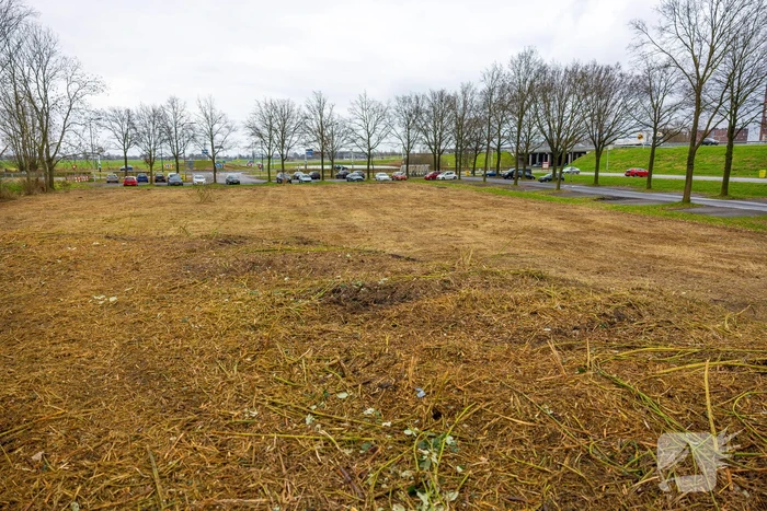 Kaalslag in beruchte bosgebied carpoolplaats Bunschoten