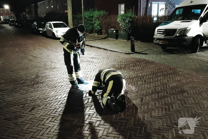 Onderzoek naar terpentine lucht