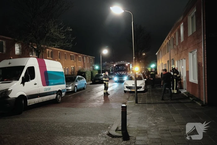 Onderzoek naar terpentine lucht