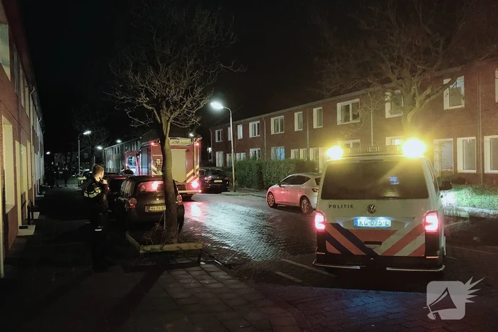 Onderzoek naar terpentine lucht