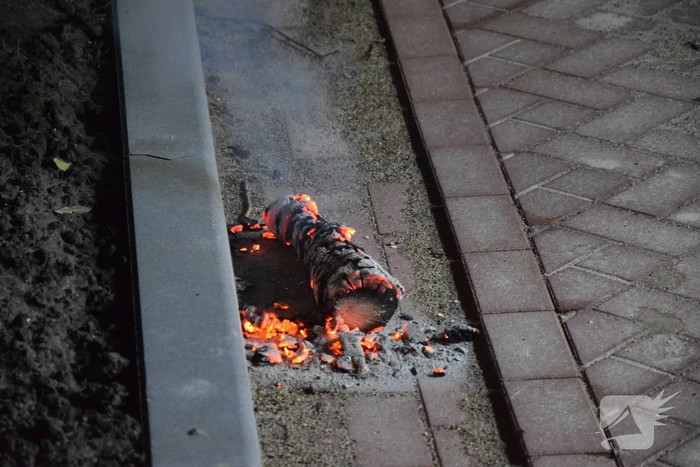 brand kreeklaan scharendijke