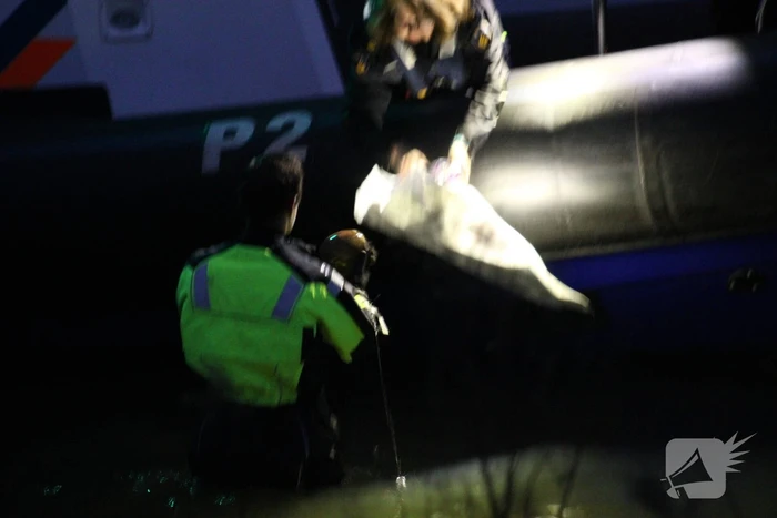 Politie verricht zoektocht in water door tas met menselijke schedels