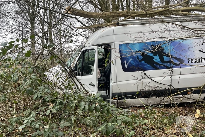Bestuurder bestelbus raakt van de weg en belandt in bosschage