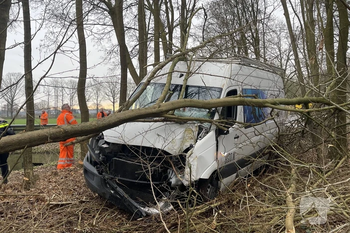 Bestuurder bestelbus raakt van de weg en belandt in bosschage