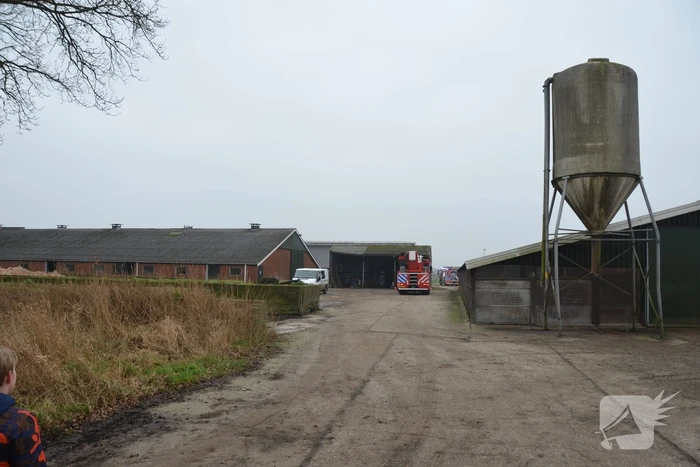 brand lytsegeast tytsjerk