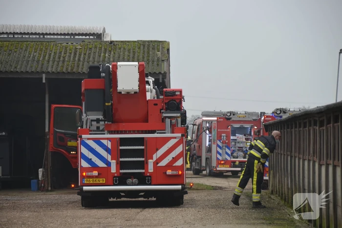 Stal vol rook door brand