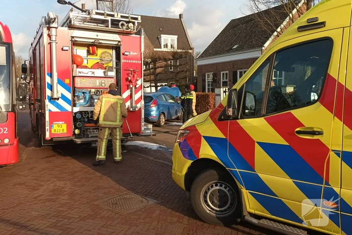 Automobilist botst tegen boom