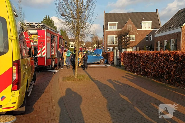 Automobilist botst tegen boom