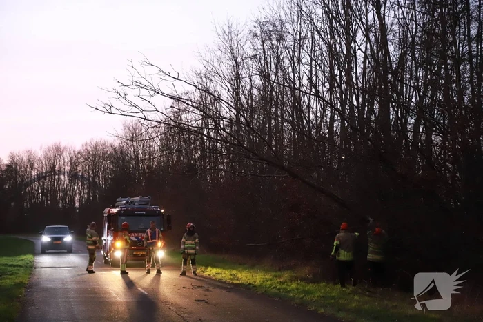 Brandweer verwijdert gevaarlijke tak boven de weg