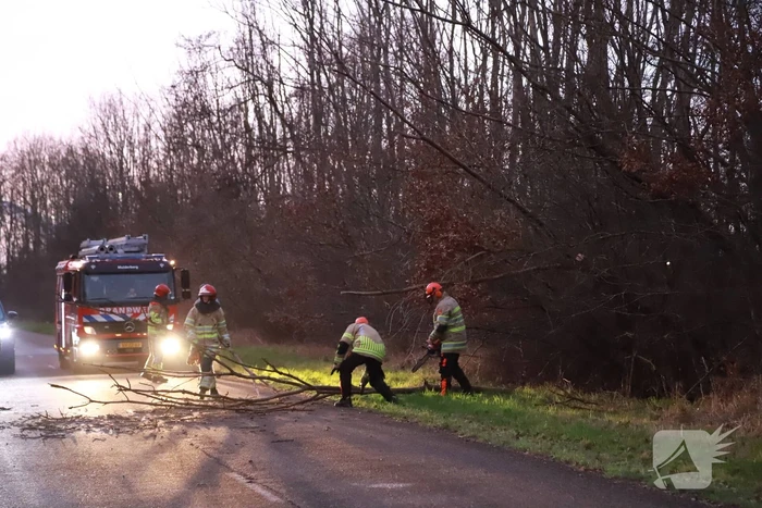Brandweer verwijdert gevaarlijke tak boven de weg