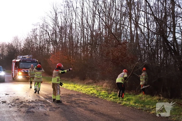 Brandweer verwijdert gevaarlijke tak boven de weg