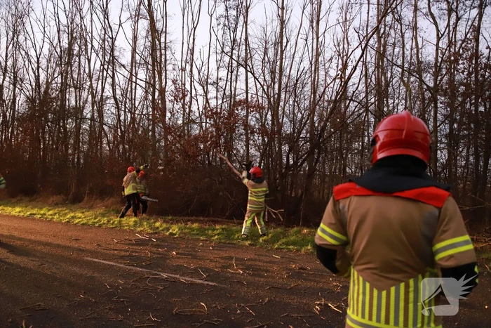 Brandweer verwijdert gevaarlijke tak boven de weg
