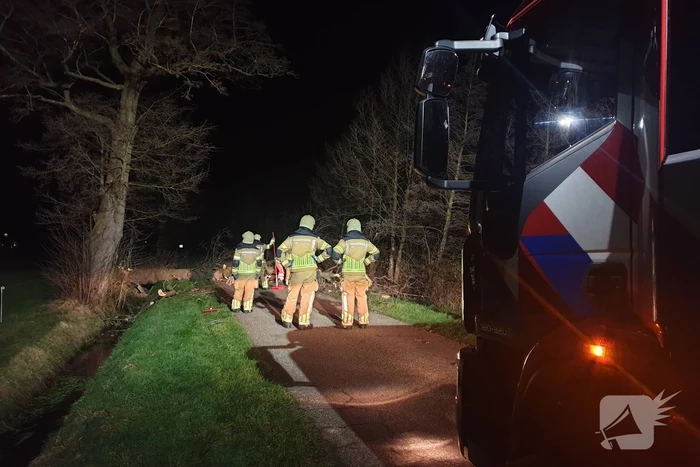 Brandweer ingezet voor omgewaaide boom