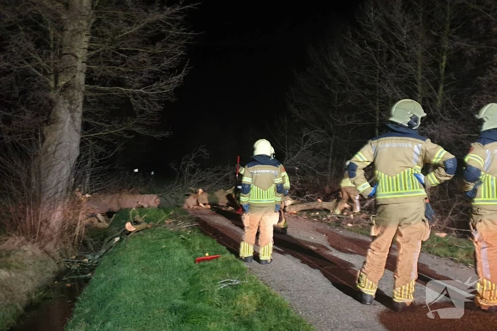 Brandweer ingezet voor omgewaaide boom