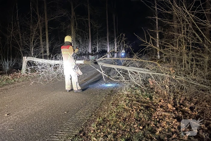 natuur oude goorseweg rijssen