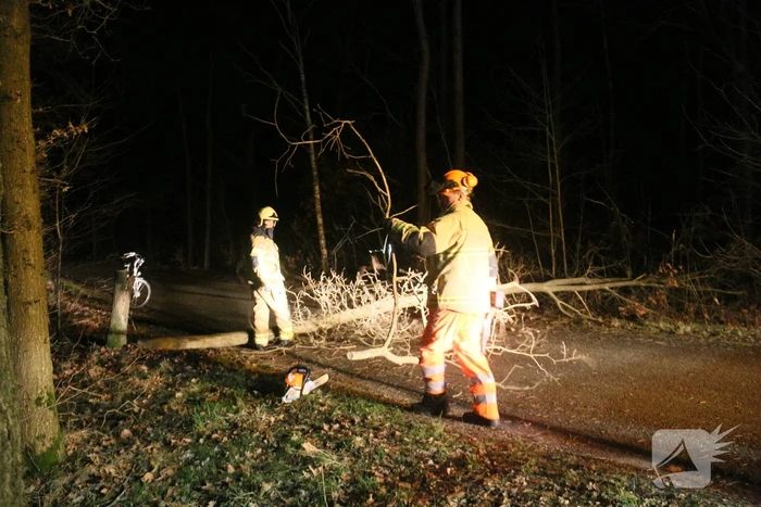 Gevaarlijke boom over de weg verwijderd