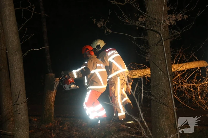 Gevaarlijke boom over de weg verwijderd