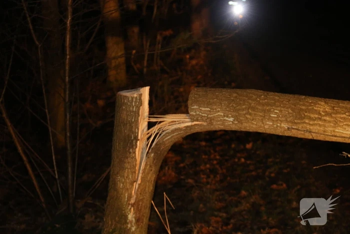 Gevaarlijke boom over de weg verwijderd