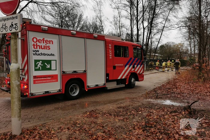 Omgewaaide boom valt op hekwerk van school