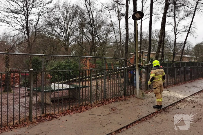 Omgewaaide boom valt op hekwerk van school