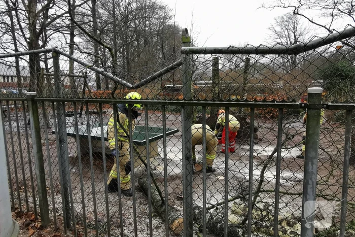 Omgewaaide boom valt op hekwerk van school