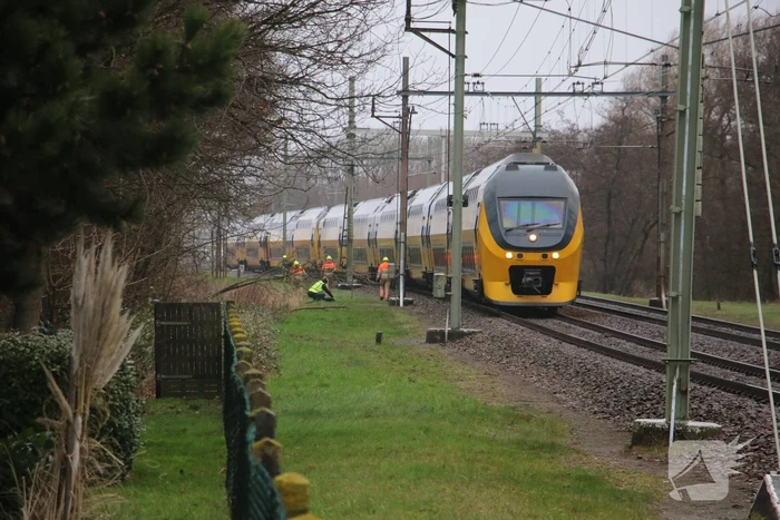 Rookvorming in Intercity-trein