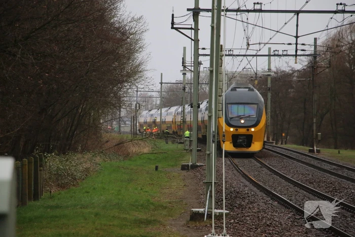 Rookvorming in Intercity-trein