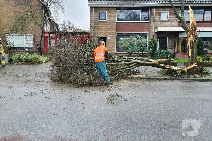 natuur alberdingk thijmlaan harderwijk