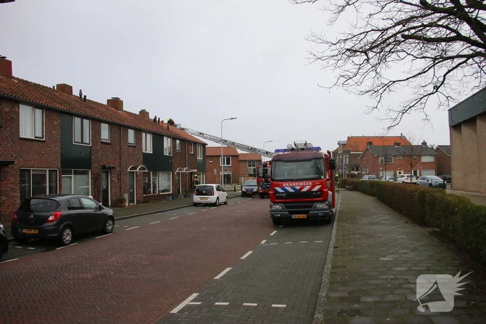 natuur houtkrocht noordwijk