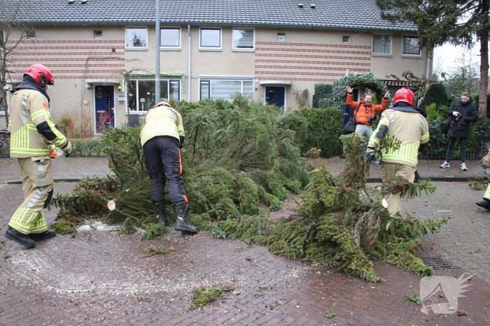 Flinke dennenboom valt op motorkap van auto