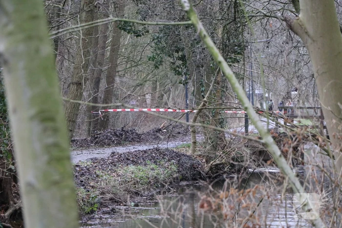 Omgevallen boom verspert fietspad Leidse Hout