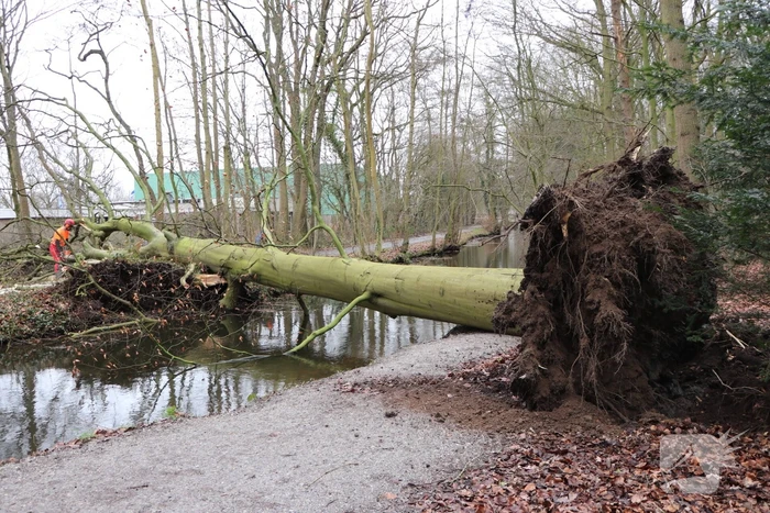 natuur van waverenweg leiden