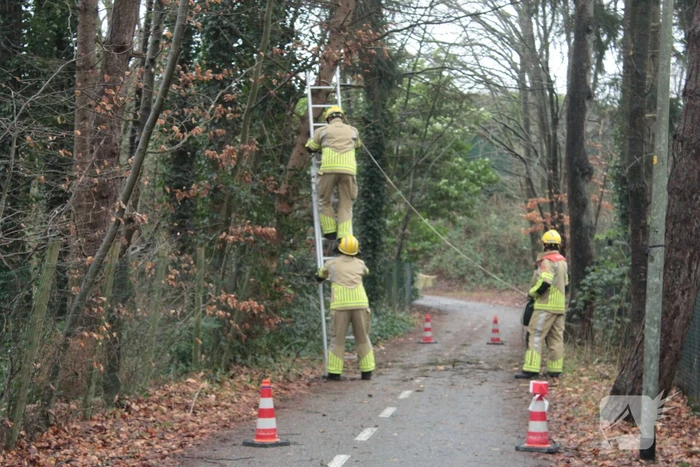 Boom hangt gevaarlijk over fietspad
