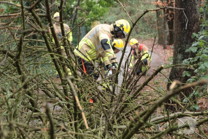 natuur vredelaan laren