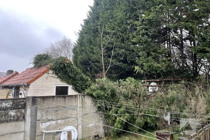 natuur pastoor van de spijkerstraat helmond