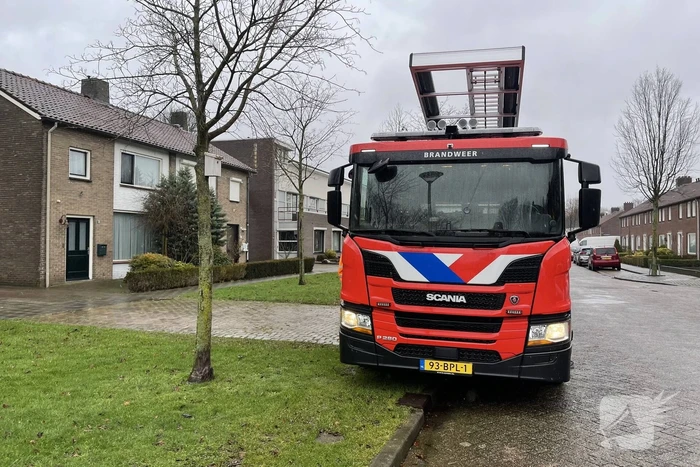 Conifeer boom belandt op schuur van buren