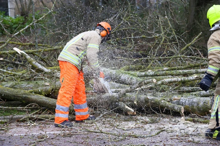natuur sportsingel krimpen aan den ijssel