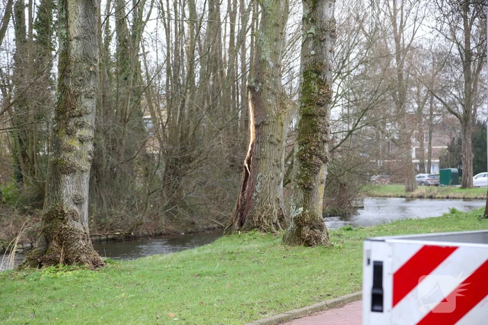Brandweer zaagt omgevallen boom klein